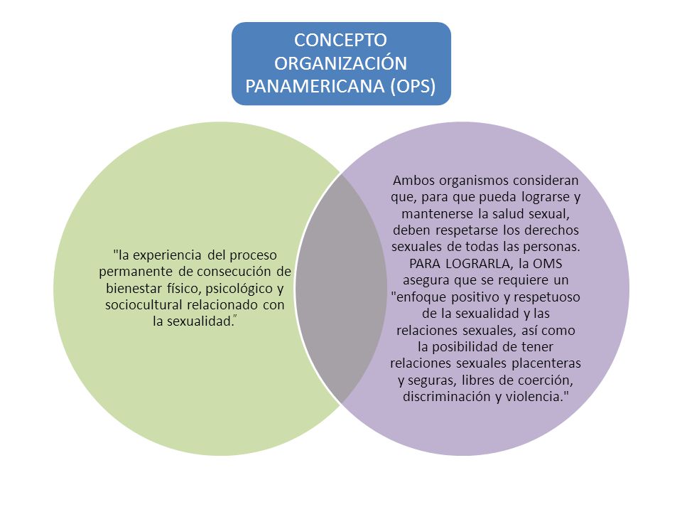 CONCEPTO ORGANIZACIÓN PANAMERICANA (OPS)