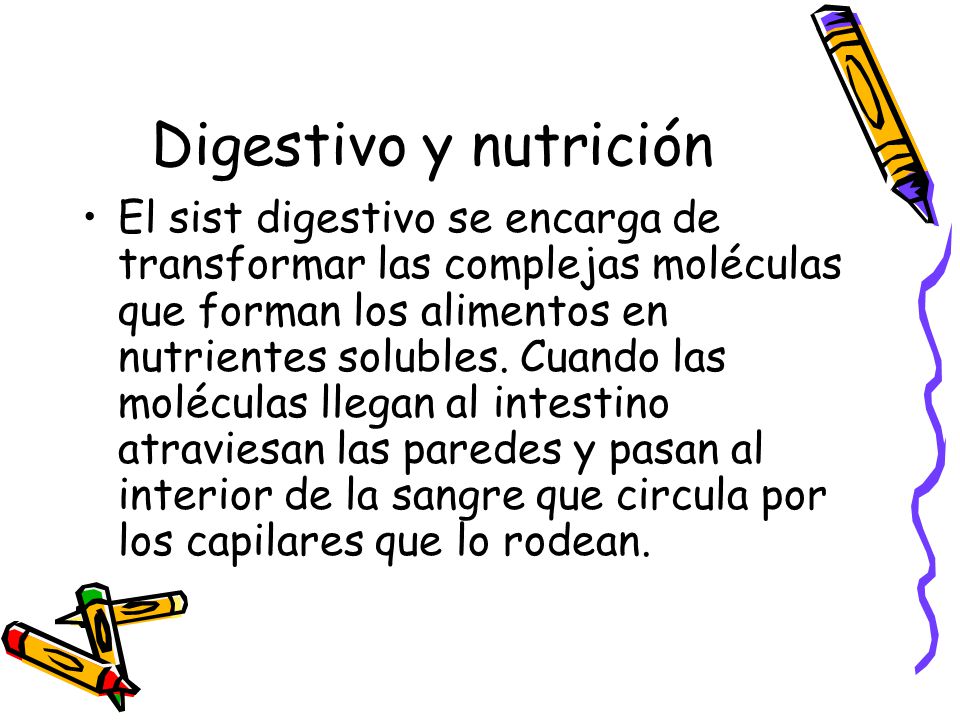 Digestivo y nutrición