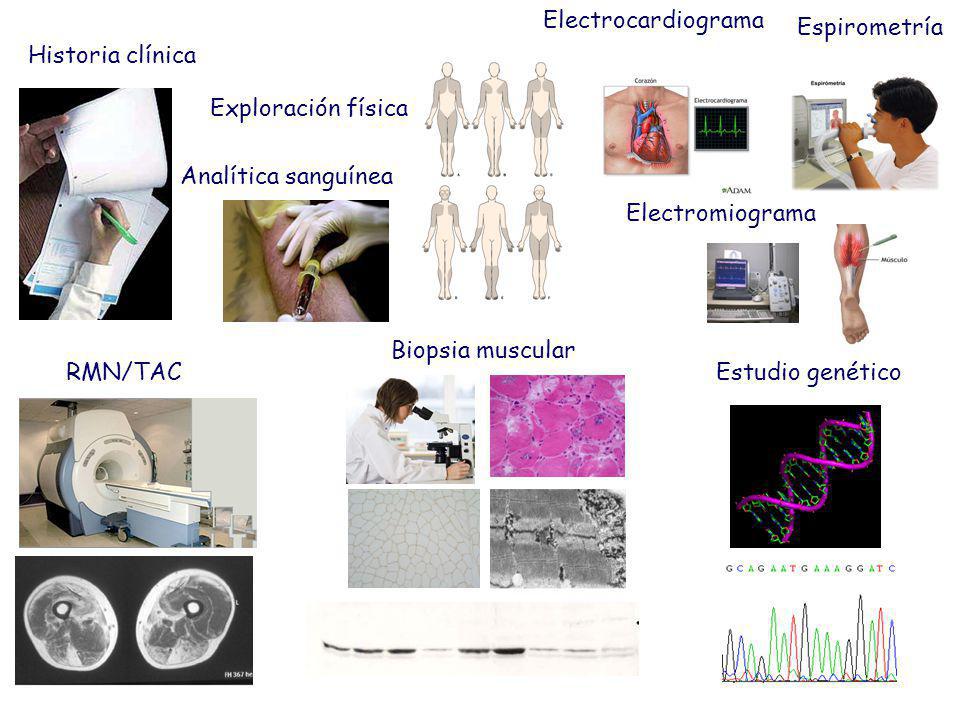 Electrocardiograma Espirometría. Historia clínica. Exploración física. Analítica sanguínea. Electromiograma.