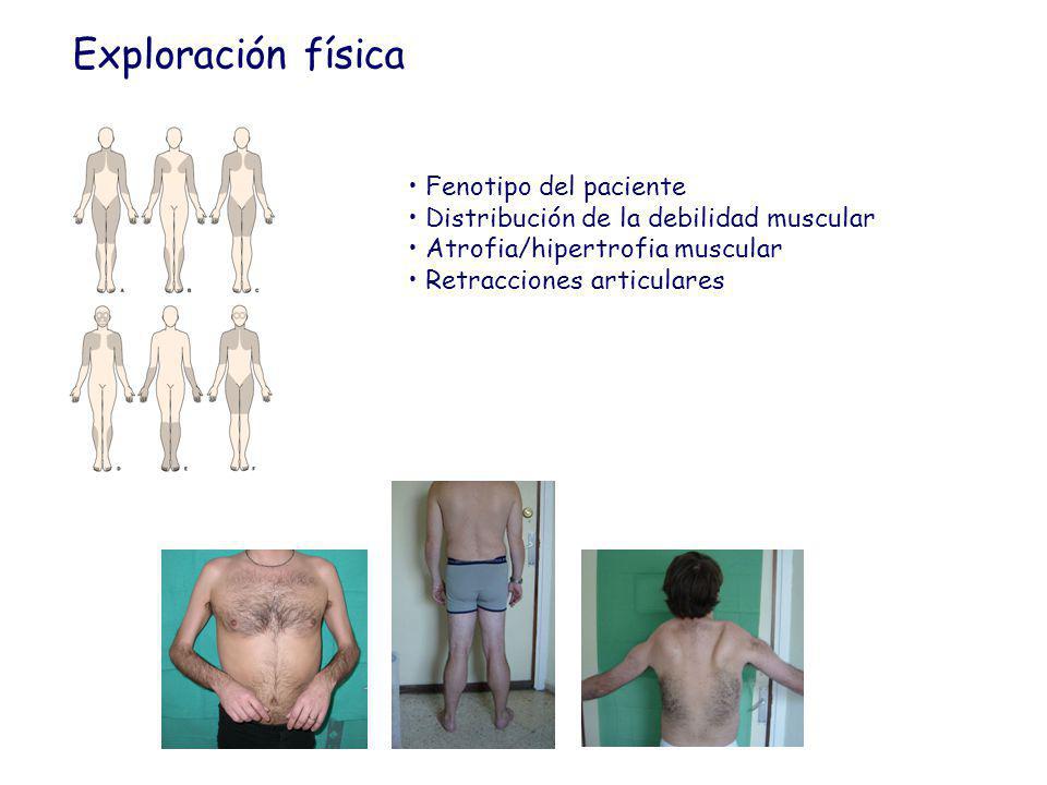 Exploración física Fenotipo del paciente