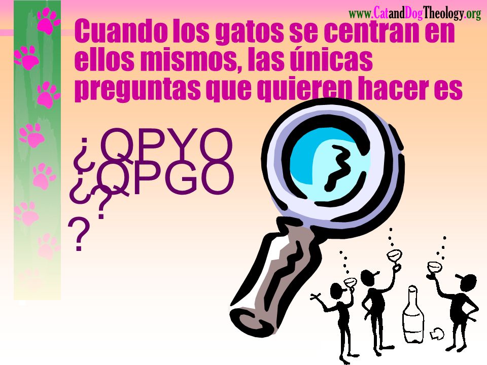 Cuando los gatos se centran en ellos mismos, las únicas preguntas que quieren hacer es