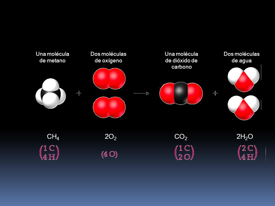 CH4 2O2 CO2 2H2O Una molécula de metano Dos moléculas de oxígeno