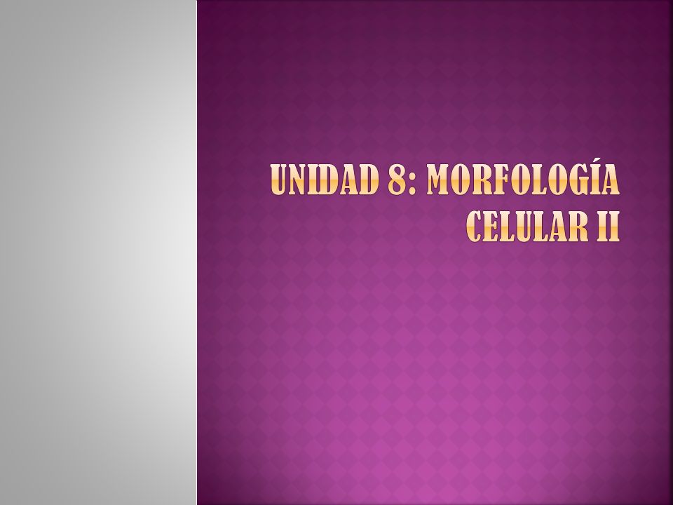 Unidad 8: Morfología celular II