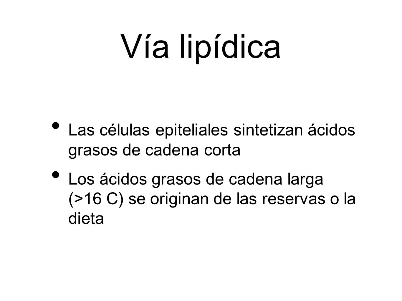 Vía lipídica Las células epiteliales sintetizan ácidos grasos de cadena corta.