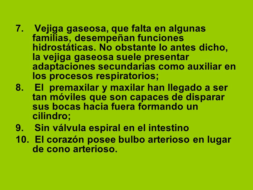 7. Vejiga gaseosa, que falta en algunas familias, desempeñan funciones hidrostáticas. No obstante lo antes dicho, la vejiga gaseosa suele presentar adaptaciones secundarias como auxiliar en los procesos respiratorios;