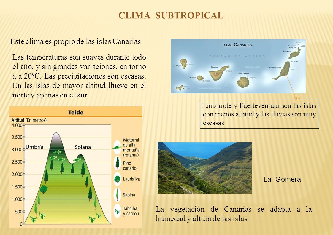CLIMA SUBTROPICAL Este clima es propio de las islas Canarias
