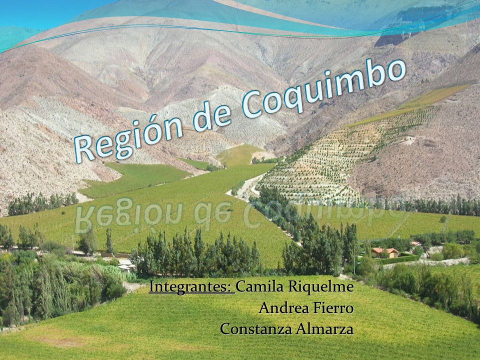 Integrantes: Camila Riquelme Andrea Fierro Constanza Almarza