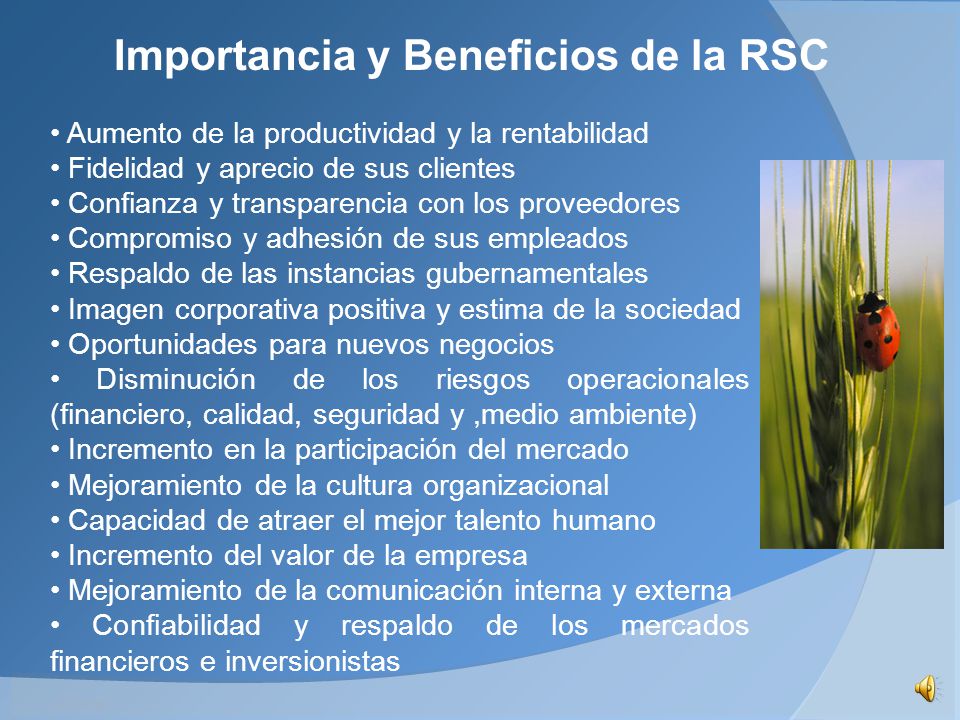 Importancia y Beneficios de la RSC