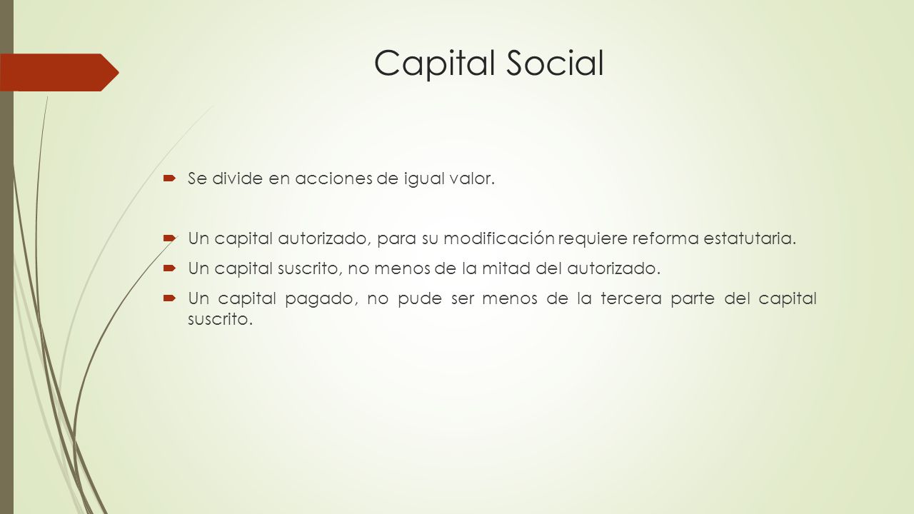 Capital Social Se divide en acciones de igual valor.