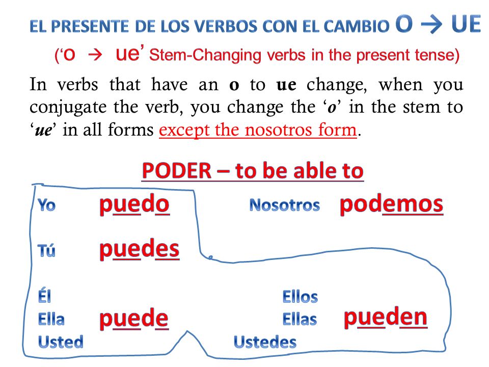 (‘o  ue’ Stem-Changing verbs in the present tense)