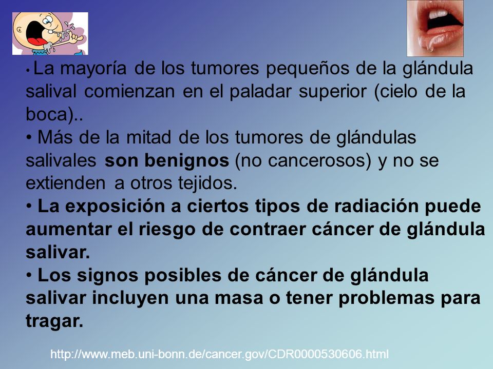 La mayoría de los tumores pequeños de la glándula salival comienzan en el paladar superior (cielo de la boca)..