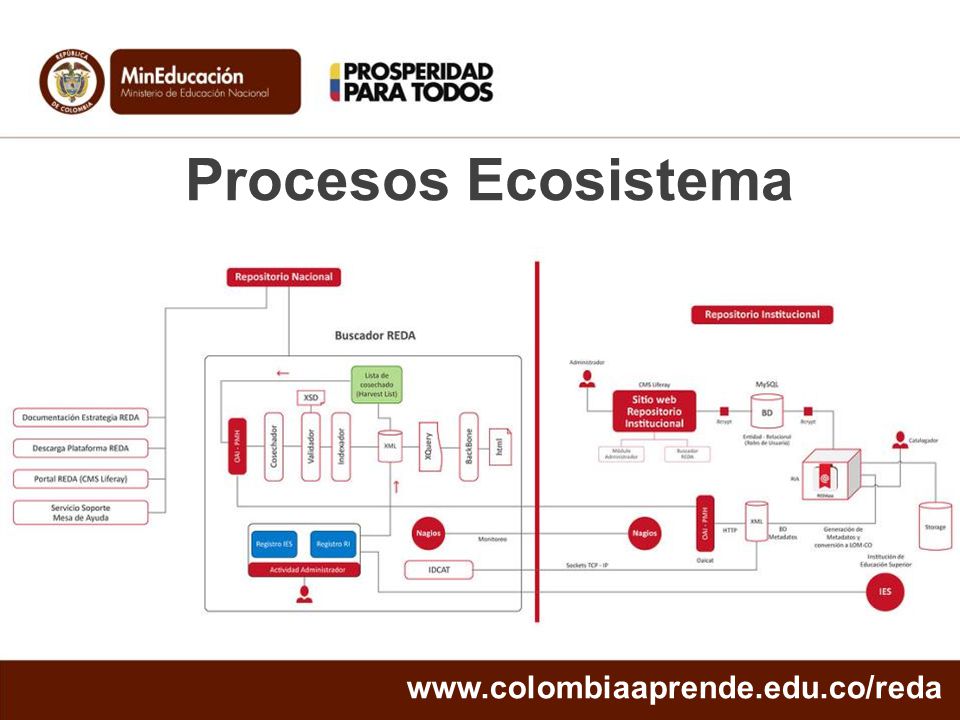 Procesos Ecosistema