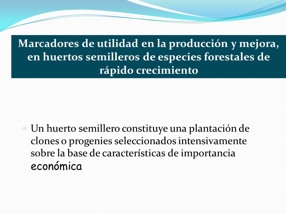 Marcadores de utilidad en la producción y mejora, en huertos semilleros de especies forestales de rápido crecimiento