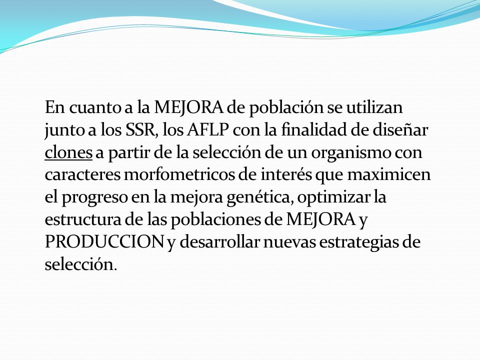 En cuanto a la MEJORA de población se utilizan junto a los SSR, los AFLP con la finalidad de diseñar clones a partir de la selección de un organismo con caracteres morfometricos de interés que maximicen el progreso en la mejora genética, optimizar la estructura de las poblaciones de MEJORA y PRODUCCION y desarrollar nuevas estrategias de selección.