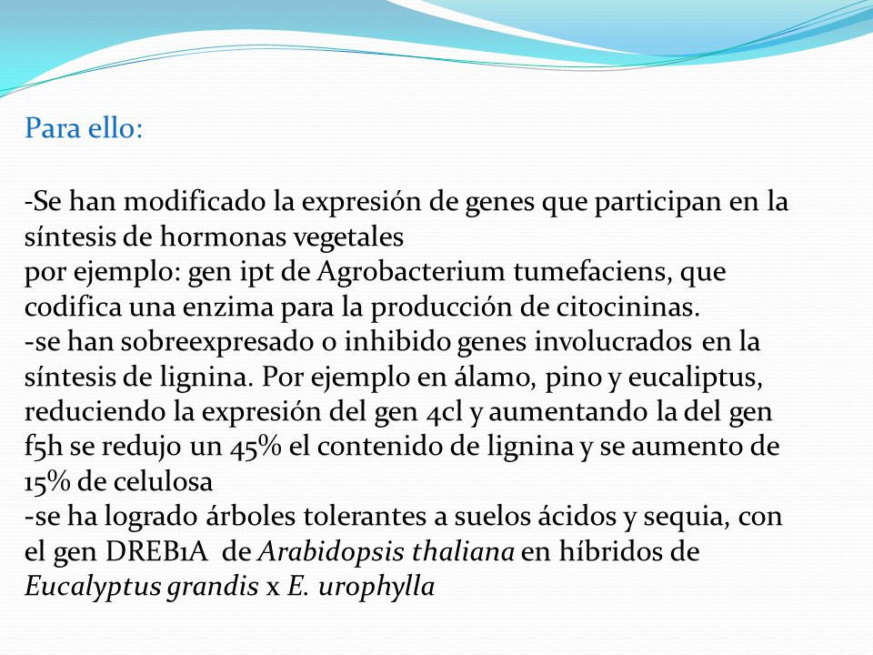 Para ello: -Se han modificado la expresión de genes que participan en la síntesis de hormonas vegetales por ejemplo: gen ipt de Agrobacterium tumefaciens, que codifica una enzima para la producción de citocininas.