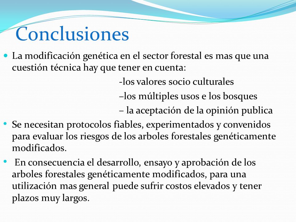 Conclusiones La modificación genética en el sector forestal es mas que una cuestión técnica hay que tener en cuenta:
