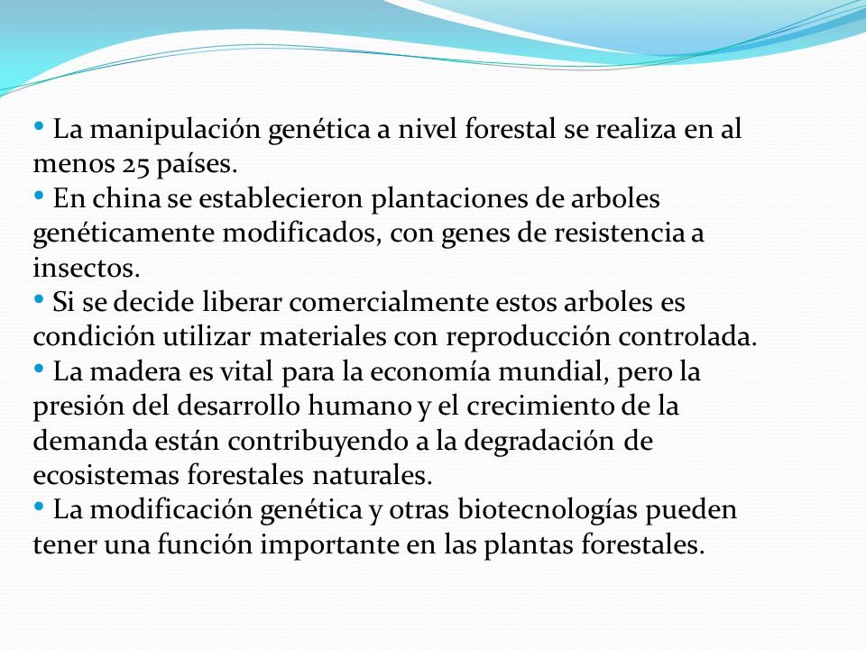 La manipulación genética a nivel forestal se realiza en al menos 25 países.