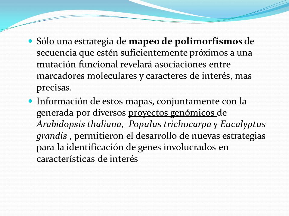 Sólo una estrategia de mapeo de polimorfismos de secuencia que estén suficientemente próximos a una mutación funcional revelará asociaciones entre marcadores moleculares y caracteres de interés, mas precisas.
