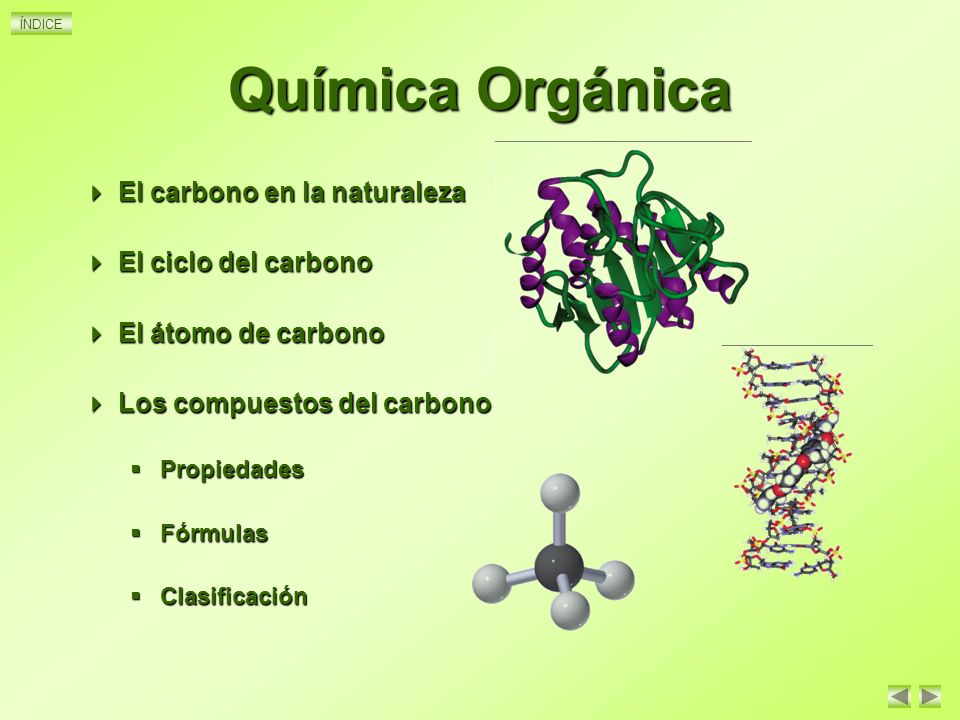Química Orgánica El carbono en la naturaleza El ciclo del carbono