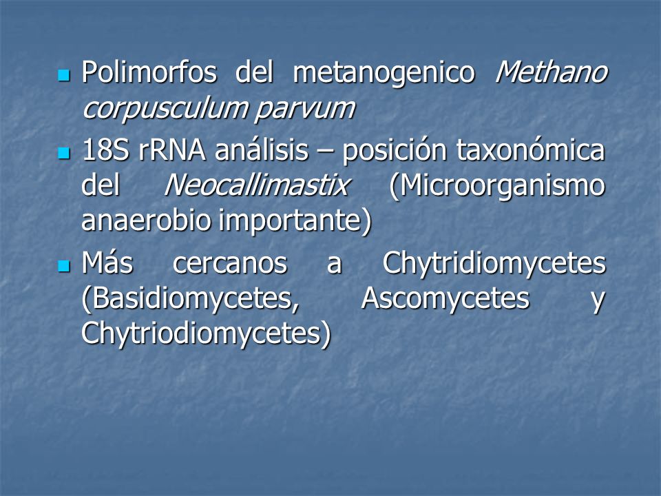 Polimorfos del metanogenico Methano corpusculum parvum