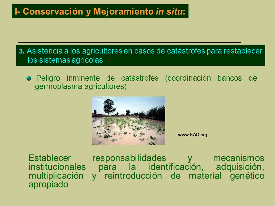 I- Conservación y Mejoramiento in situ: