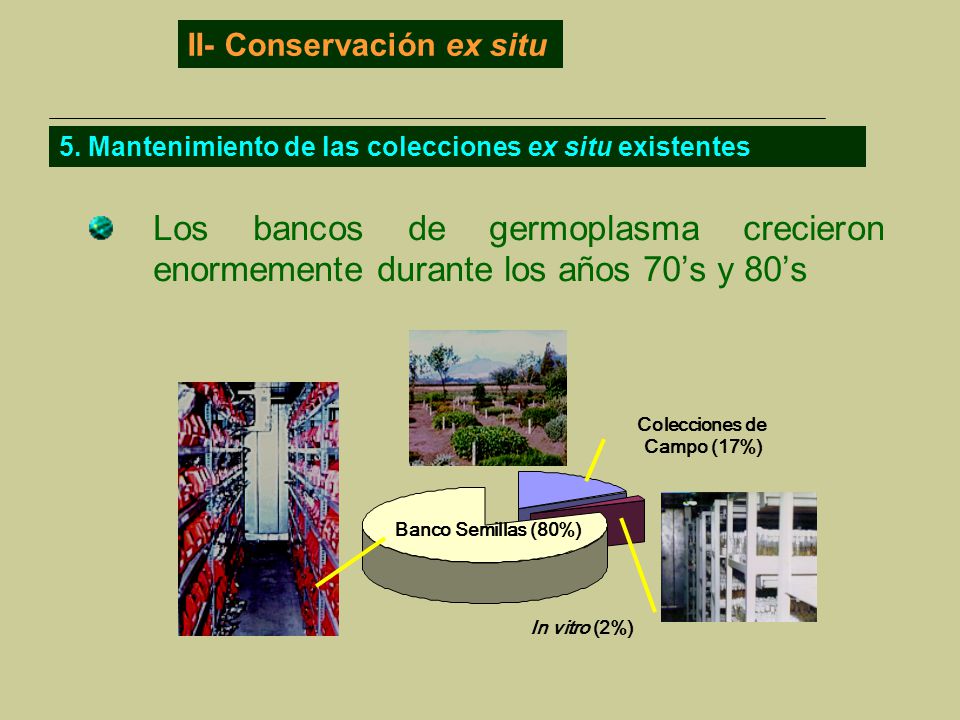 II- Conservación ex situ