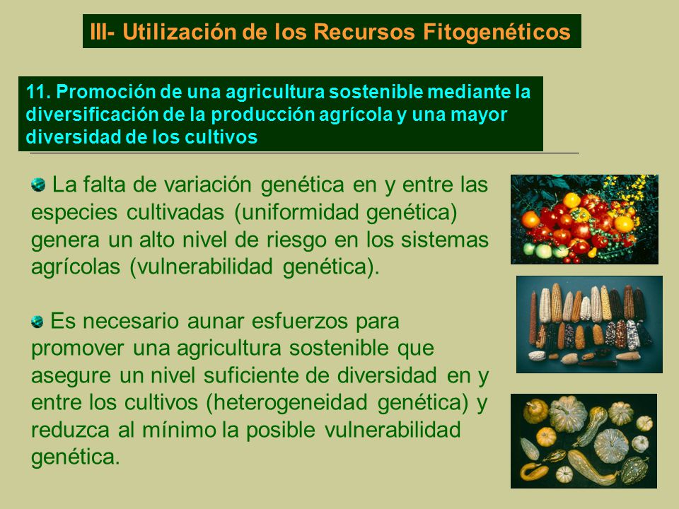 III- Utilización de los Recursos Fitogenéticos