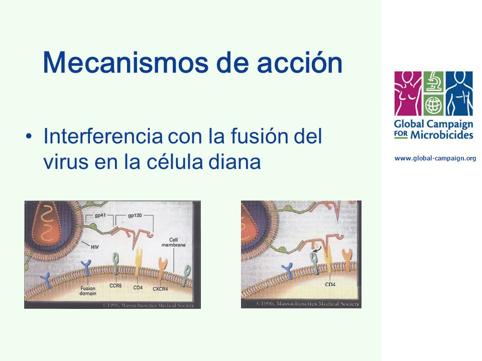 Mecanismos de acción Interferencia con la fusión del virus en la célula diana.
