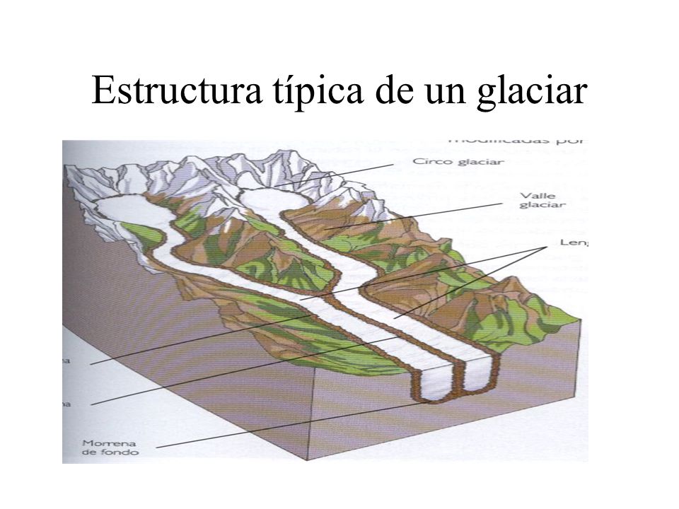 Estructura típica de un glaciar