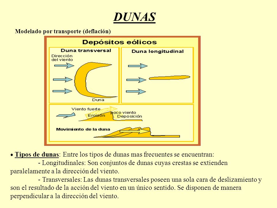 DUNAS Modelado por transporte (deflación) Tipos de dunas: Entre los tipos de dunas mas frecuentes se encuentran: