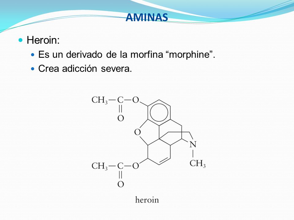 AMINAS Heroin: Es un derivado de la morfina morphine .