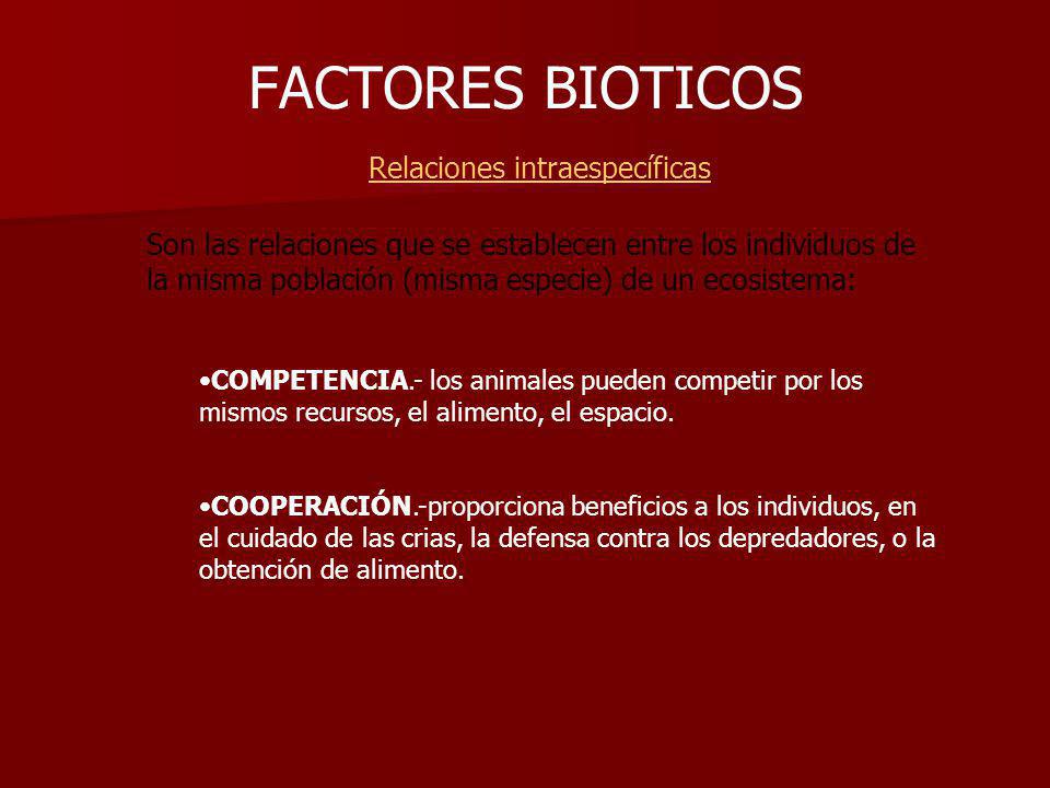 FACTORES BIOTICOS Relaciones intraespecíficas