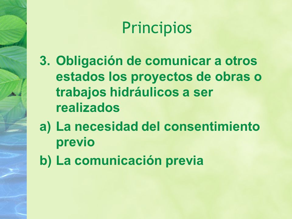 Principios Obligación de comunicar a otros estados los proyectos de obras o trabajos hidráulicos a ser realizados.