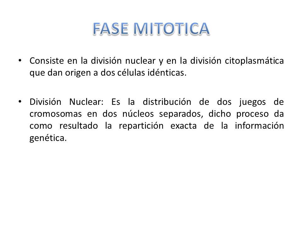 FASE MITOTICA Consiste en la división nuclear y en la división citoplasmática que dan origen a dos células idénticas.