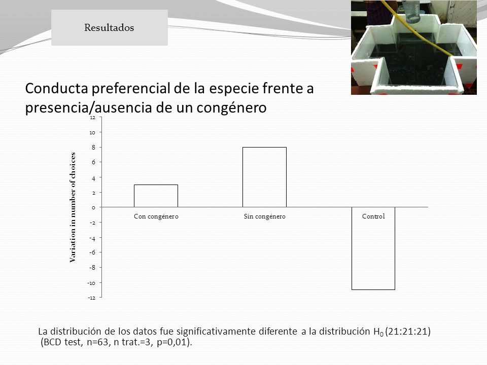 Resultados Conducta preferencial de la especie frente a presencia/ausencia de un congénero.