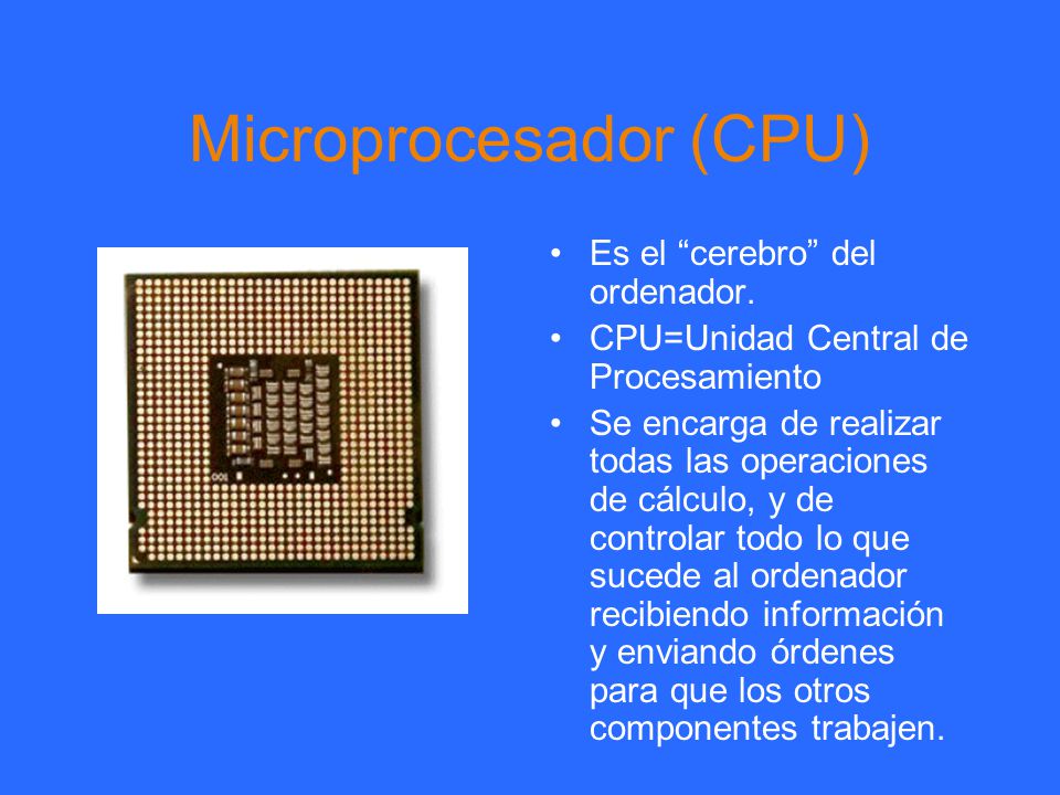 Microprocesador (CPU)