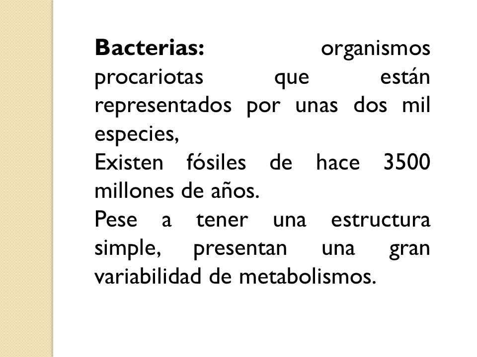 Bacterias: organismos procariotas que están representados por unas dos mil especies,