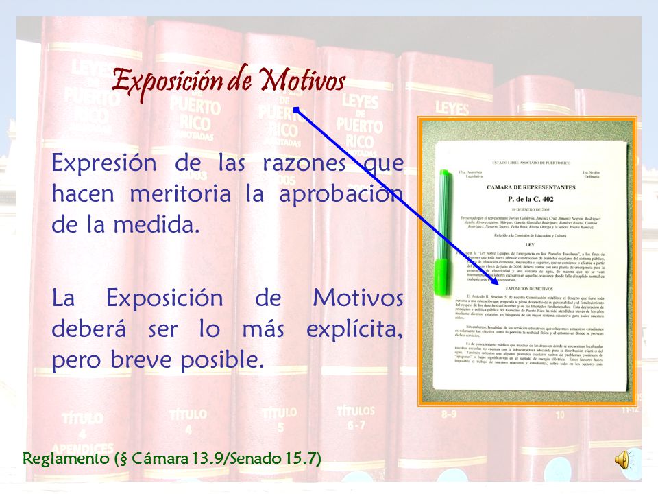 Exposición de Motivos Expresión de las razones que hacen meritoria la aprobación de la medida.