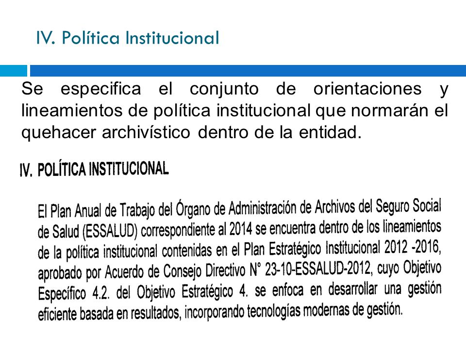 IV. Política Institucional