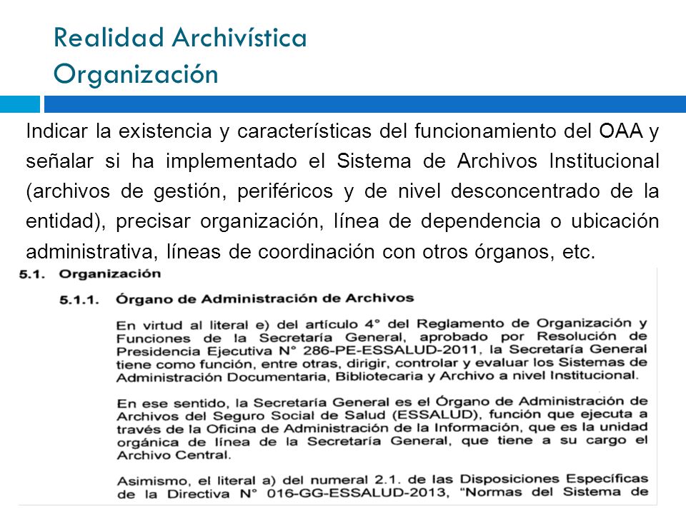 Realidad Archivística Organización