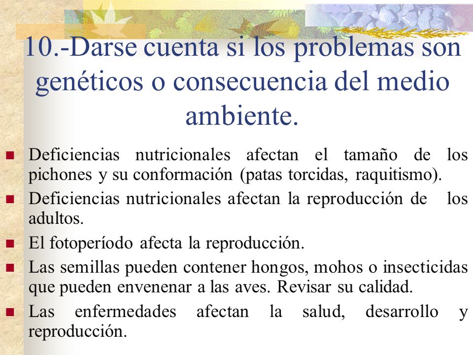 10.-Darse cuenta si los problemas son genéticos o consecuencia del medio ambiente.