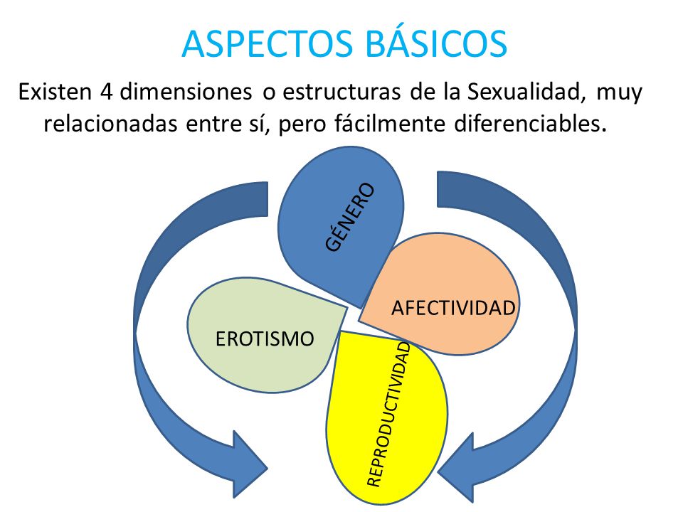ASPECTOS BÁSICOS Existen 4 dimensiones o estructuras de la Sexualidad, muy relacionadas entre sí, pero fácilmente diferenciables.