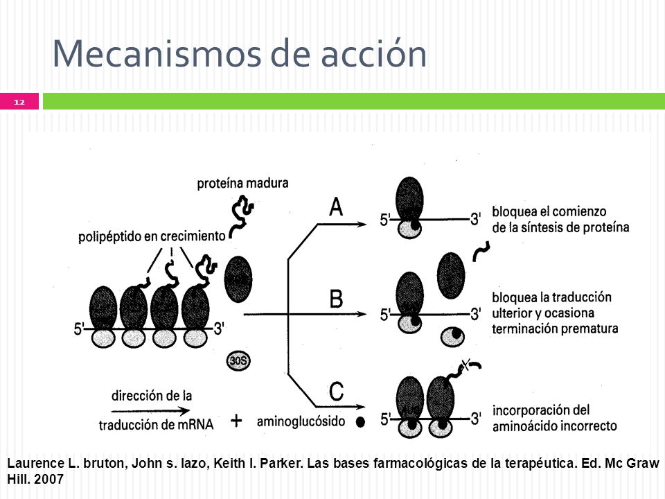Mecanismos de acción Laurence L. bruton, John s. lazo, Keith I.