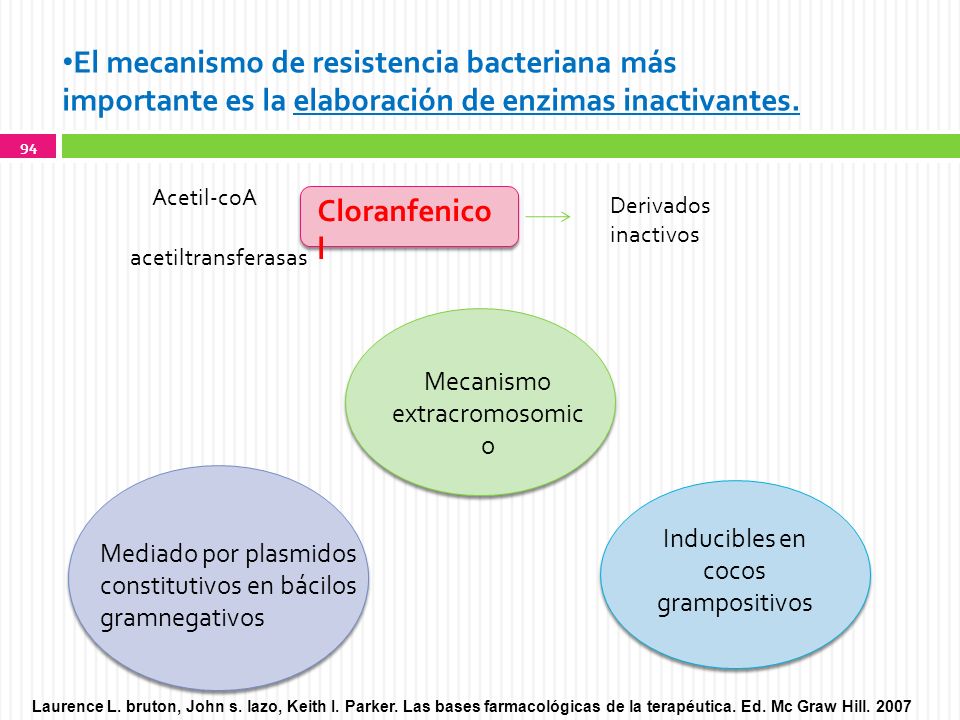 El mecanismo de resistencia bacteriana más importante es la elaboración de enzimas inactivantes.