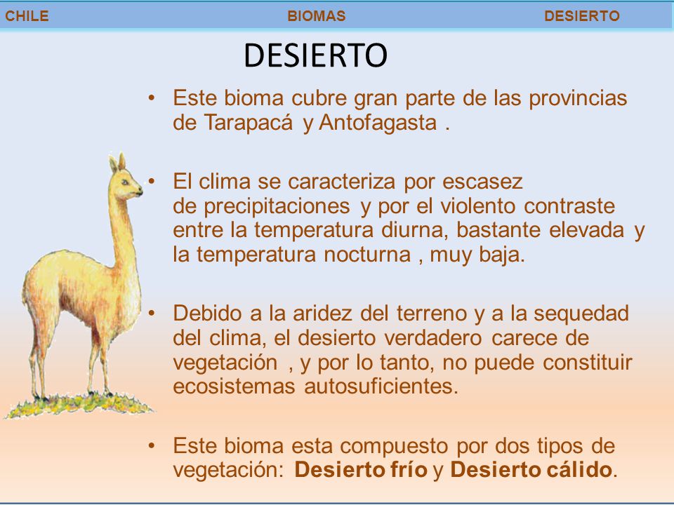 CHILE BIOMAS DESIERTO DESIERTO. Este bioma cubre gran parte de las provincias de Tarapacá y Antofagasta .