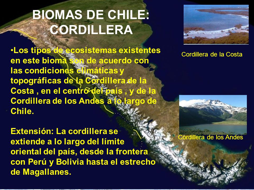 BIOMAS DE CHILE: CORDILLERA