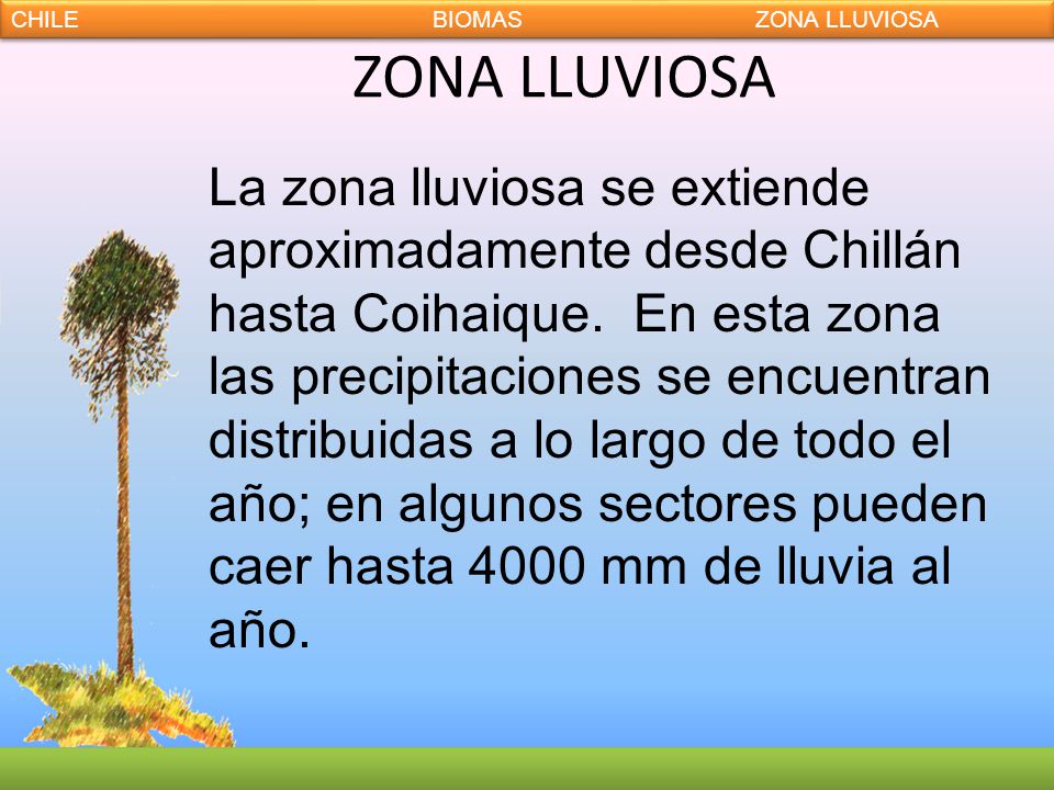 CHILE BIOMAS ZONA LLUVIOSA