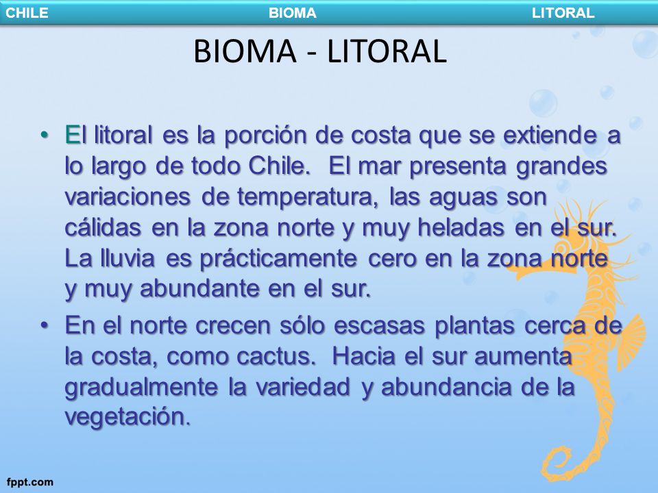 CHILE BIOMA LITORAL BIOMA - LITORAL.