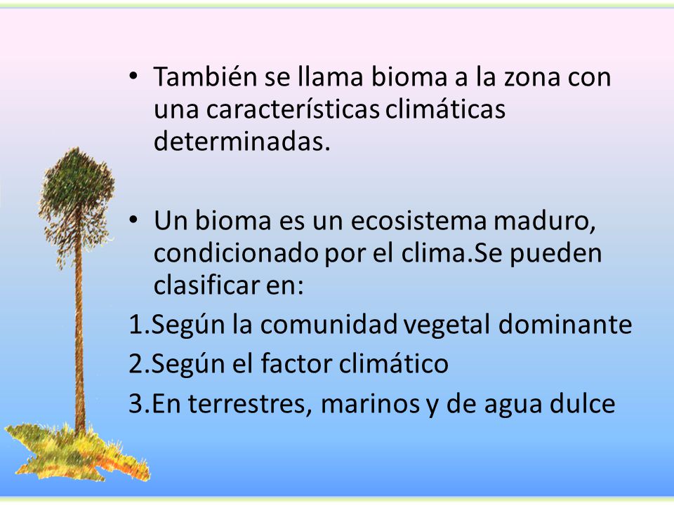 También se llama bioma a la zona con una características climáticas determinadas.
