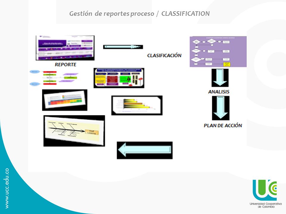 Gestión de reportes proceso / CLASSIFICATION
